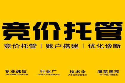 成功案例：SEM外包公司助力企业实现全网营销策略